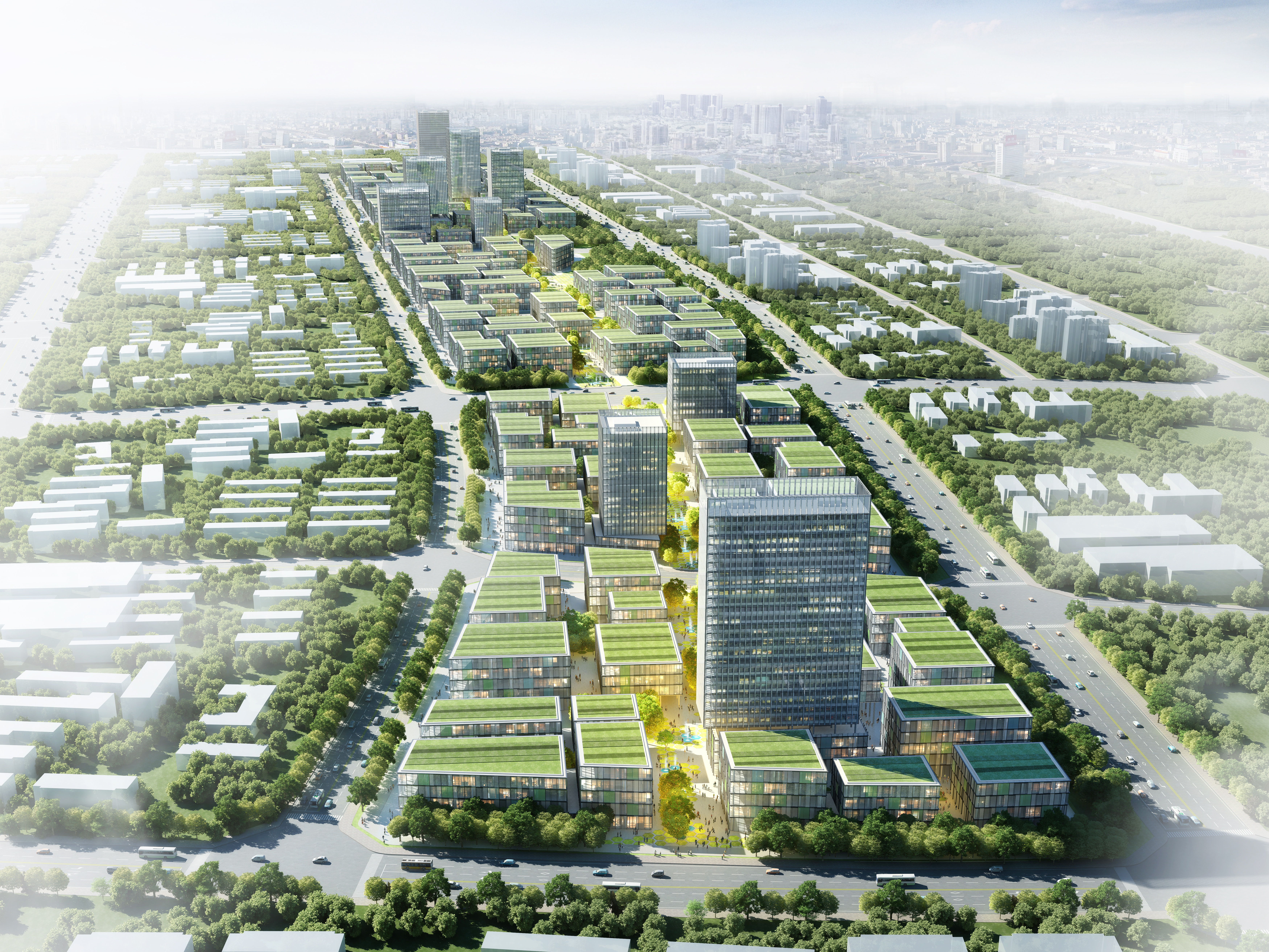Wuhan Optic Valley Healthcare Park Bird View
