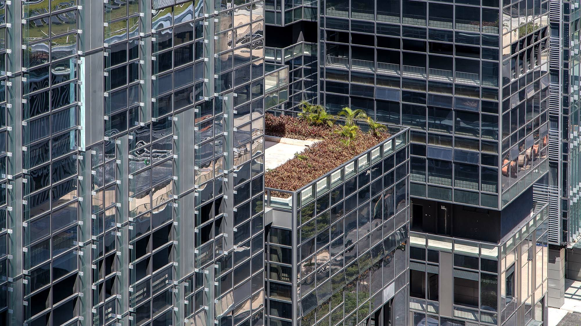Shenzhen Bay Technology and Ecology City, Plot 3 Roof Gardens and Facade